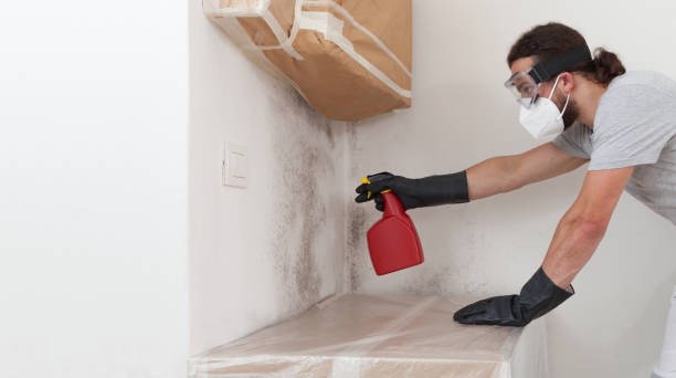 Professional Basement Mold Remediation technician working in Clarksville, VA
