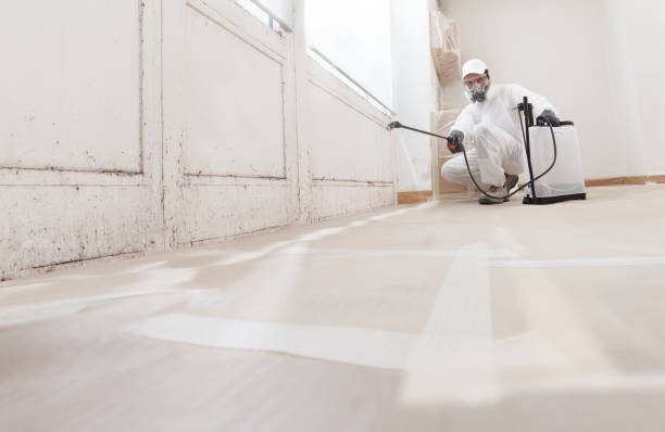 24/7 Emergency Basement Mold Remediation experts in Clarksville, VA